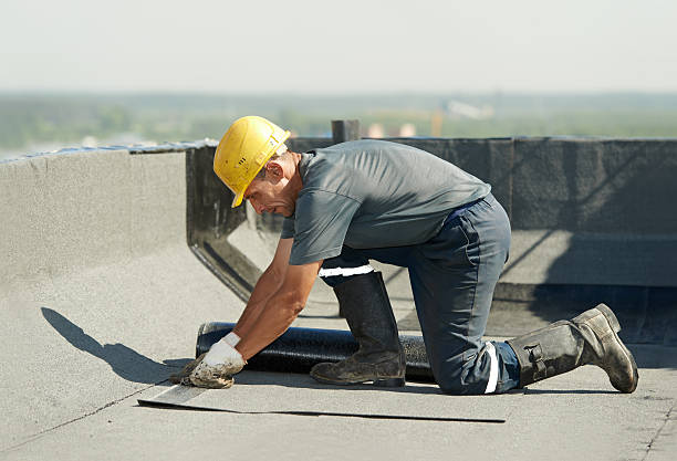 Best Basement Insulation  in Wilson, WY